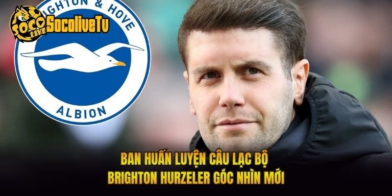 Ban Huấn Luyện Câu Lạc Bộ Brighton Hurzeler Góc Nhìn Mới