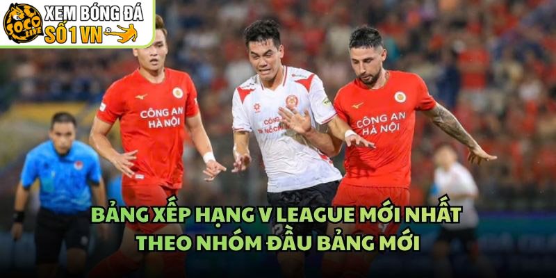 Bảng Xếp Hạng V League Mới Nhất – Theo Nhóm Đầu Bảng Mới