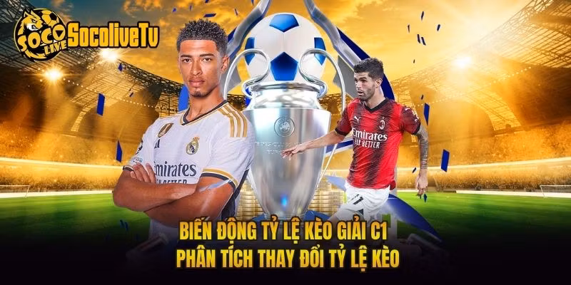 Biến Động Tỷ Lệ Kèo Giải C1 – Phân Tích Thay Đổi Tỷ Lệ Kèo