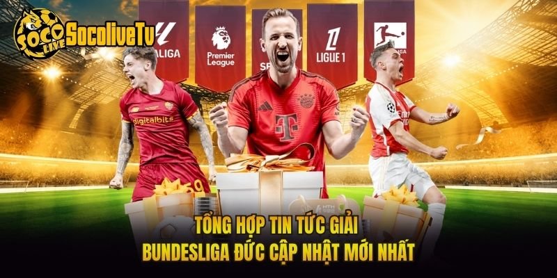 Tổng Hợp Tin Tức Giải Bundesliga Đức Cập Nhật Mới Nhất